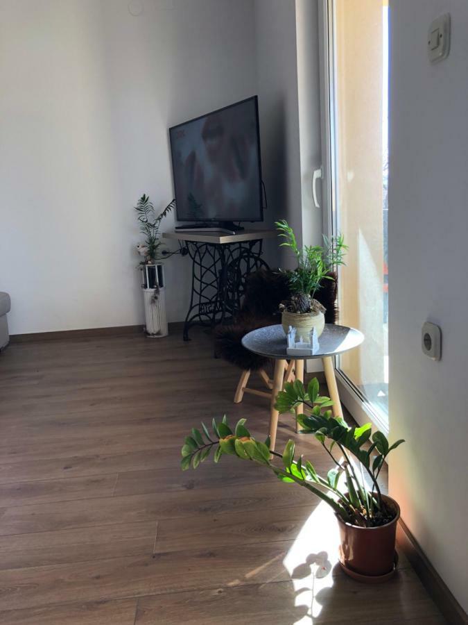 Apartment Viveniti Klenovica Exterior foto